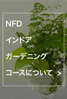 NFDインドアガーデニングコースについて