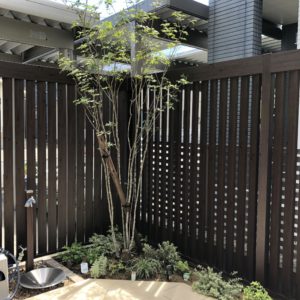 BBQを楽しむ庭